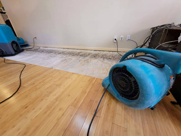Professional Sewage Cleanup technician working in Ypsilanti, ND